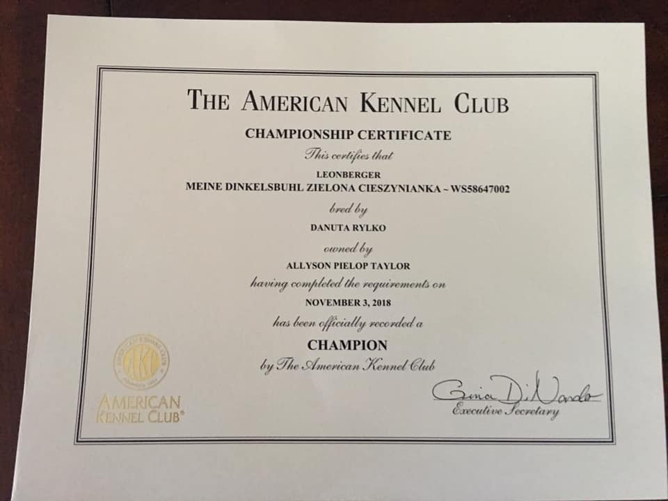 Certyfikat The American Kennel Club